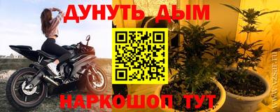 сатива Кулебаки