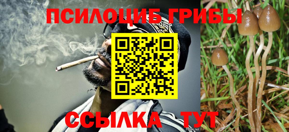 Железноводск  даркнет сайт  Вход с VPN  Псилоцибиновые грибы ЛСД 